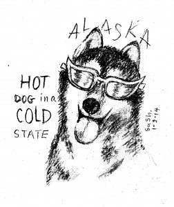 pencil drawing of a husky in sunglasses